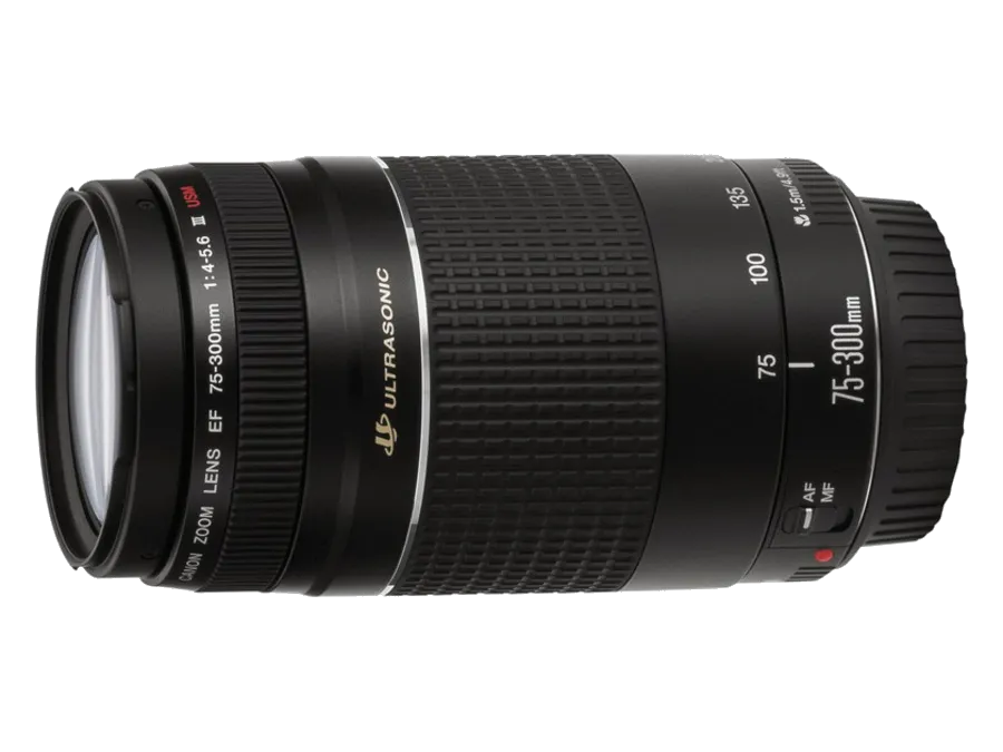 Ремонт EF 75-300 f/4-5.6 III USM