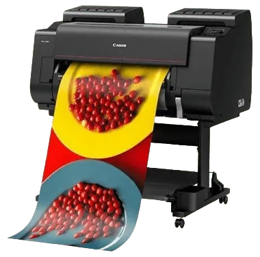 Ремонт imagePROGRAF PRO-2100